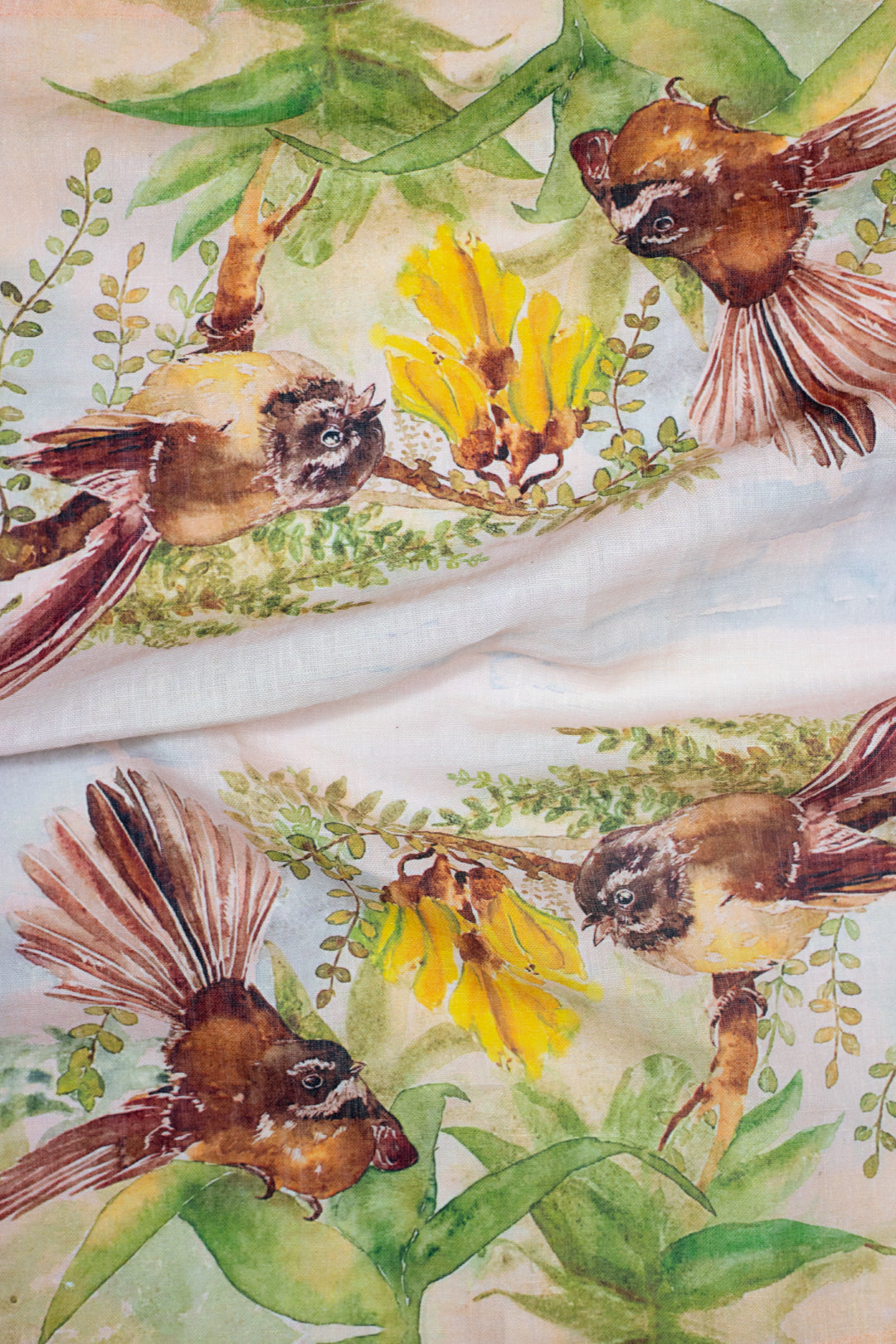 Birds of New Zealand - Pīwakawaka/Fantail