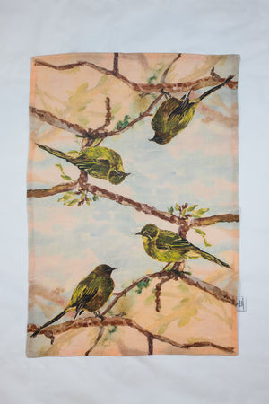 Ngā Manu - Birds of Aotearoa