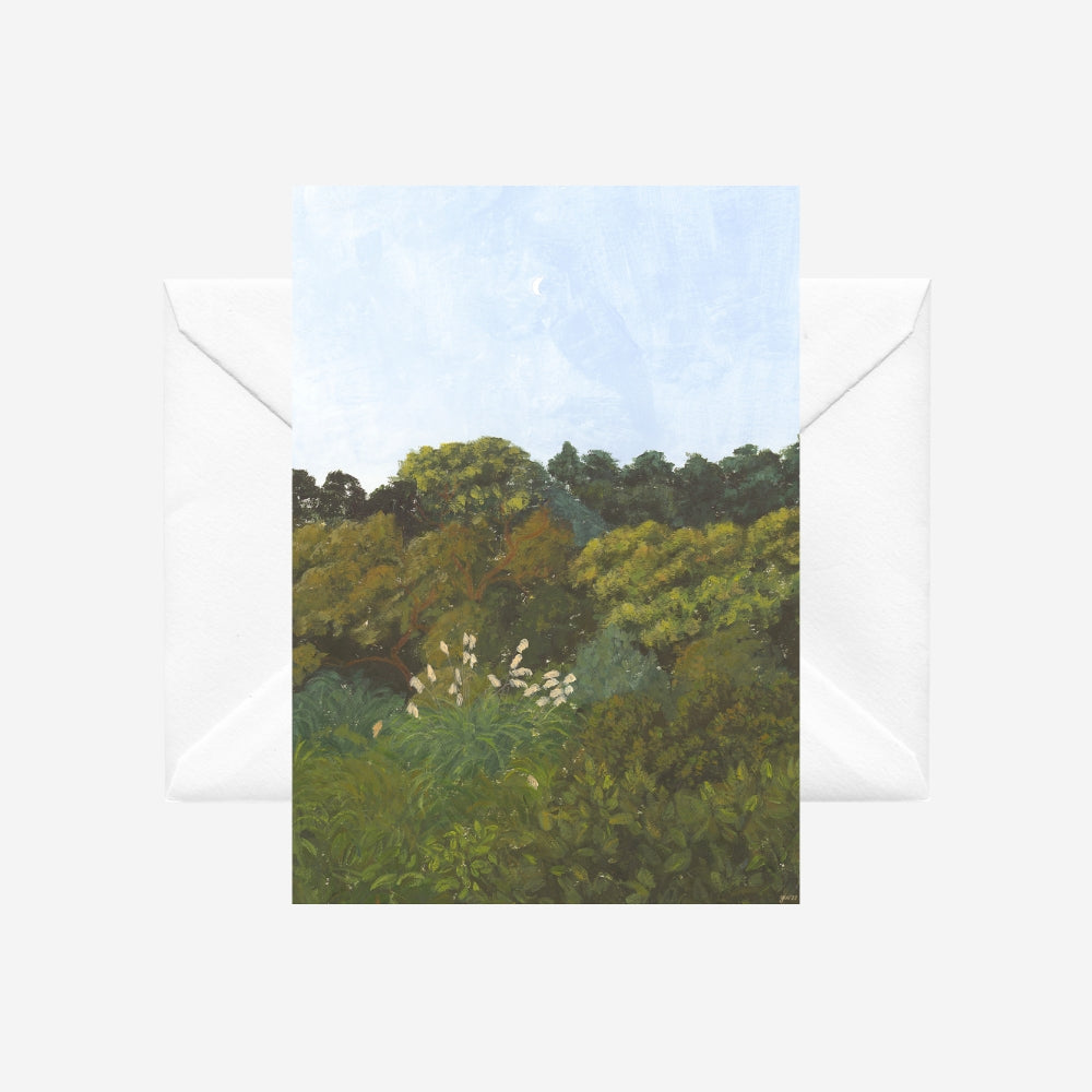 Grace Wilkinson - 'Aotearoa Dusk'