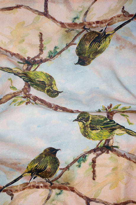 Birds of New Zealand - Bellbird