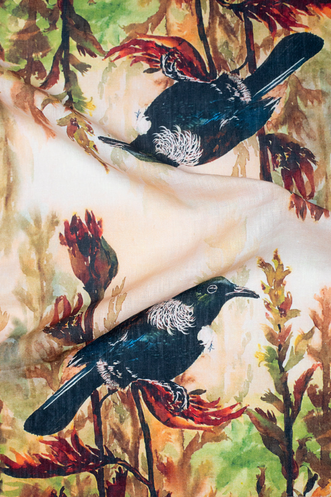 Birds of New Zealand - Tūī