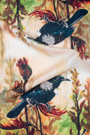 Birds of New Zealand - Tūī