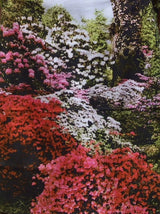 Garden Tea Towel
