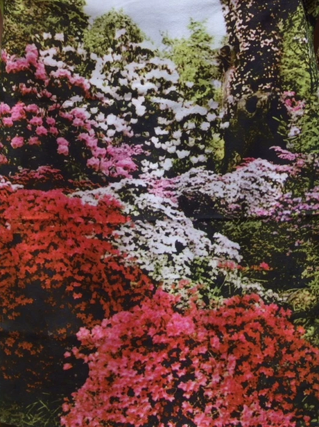 Garden Tea Towel