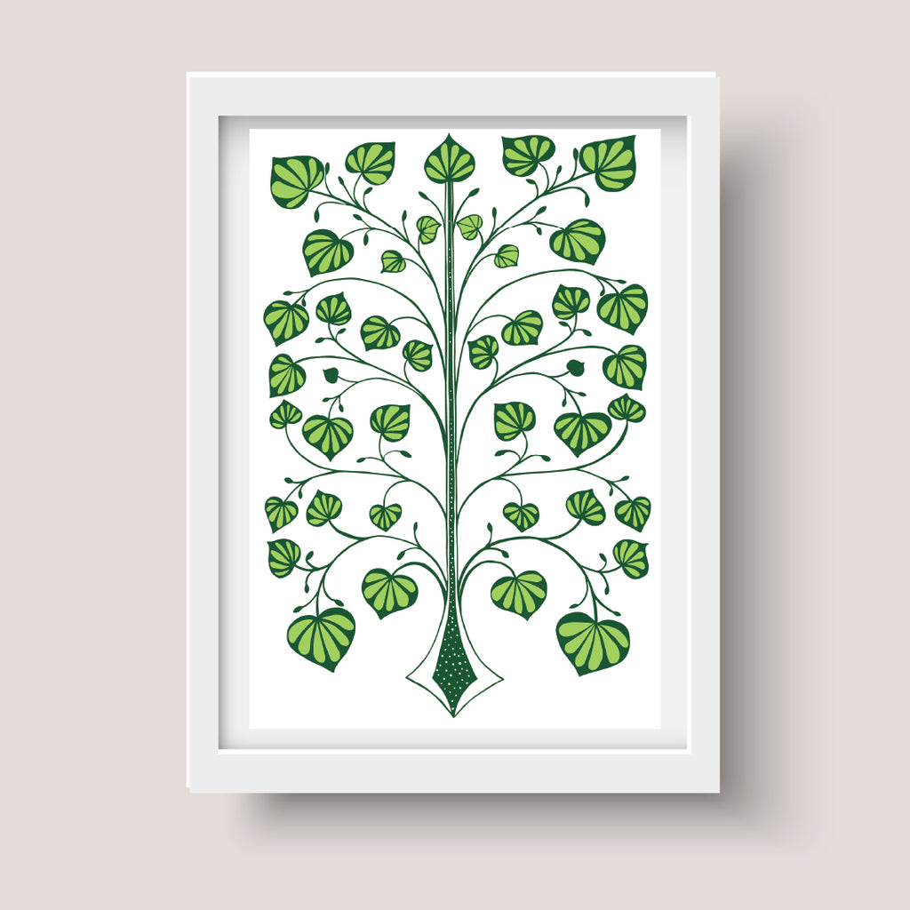 Kawakawa